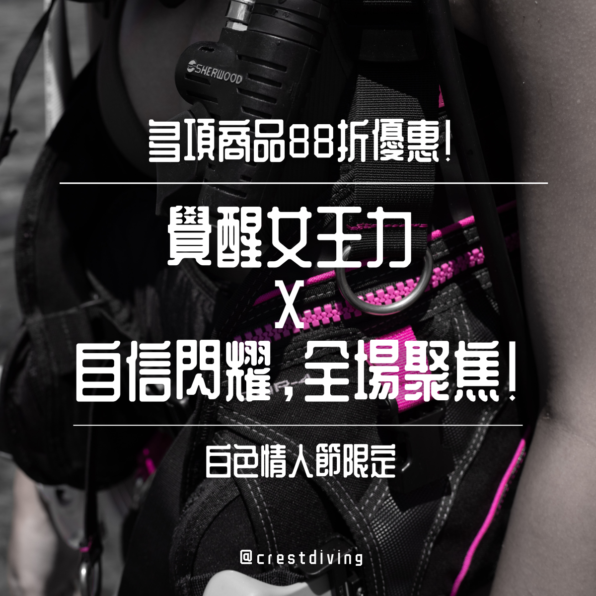 ⚔️ 覺醒女王力-自信閃耀,全場聚焦!