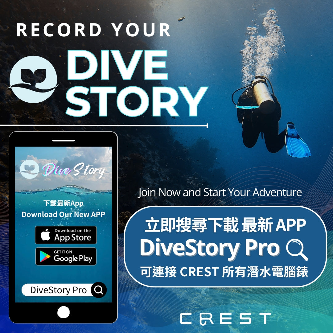 最新 APP 上市使用公告