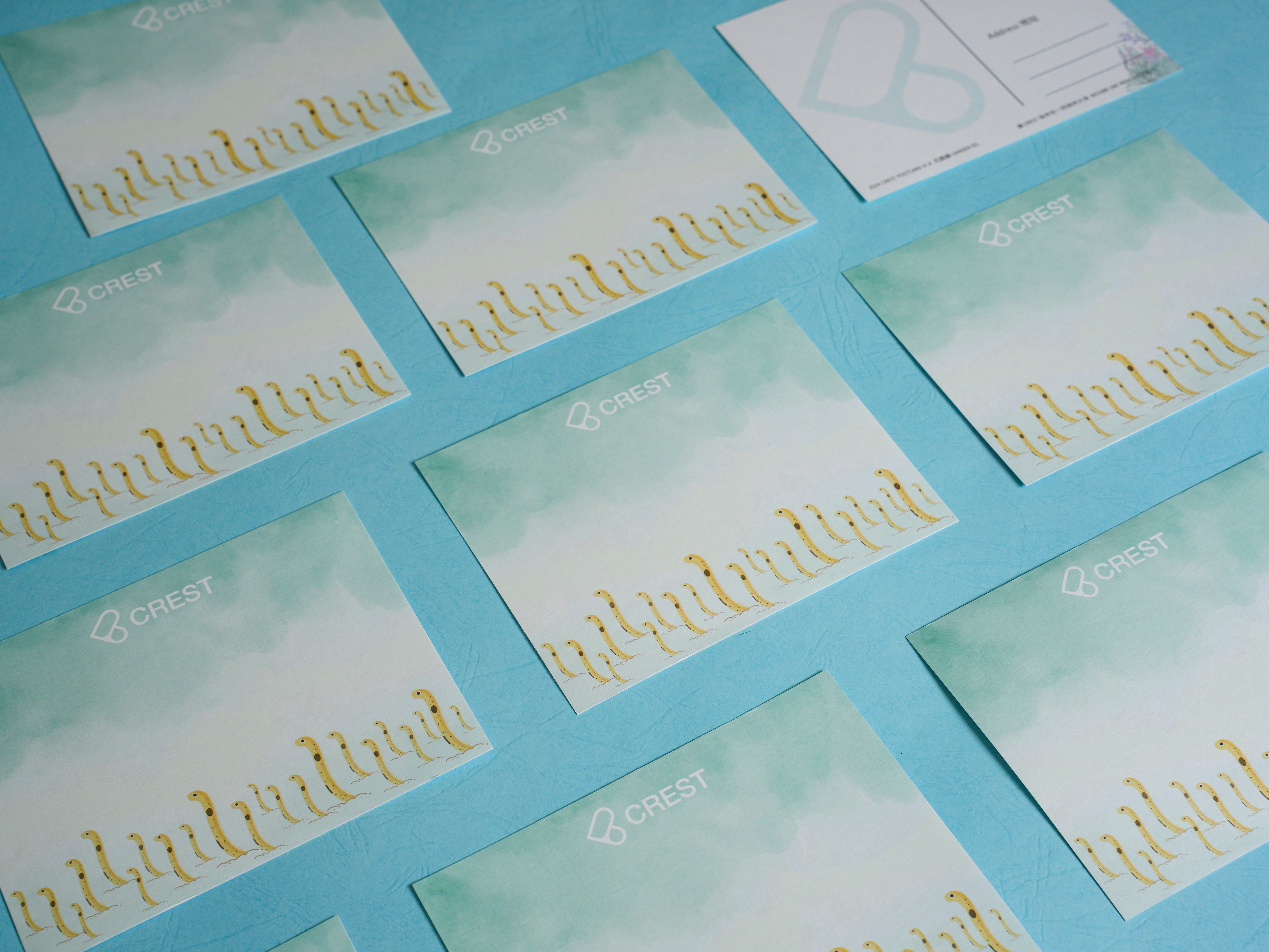 CREST Postcard: Watery Journal Series - Garden Eel