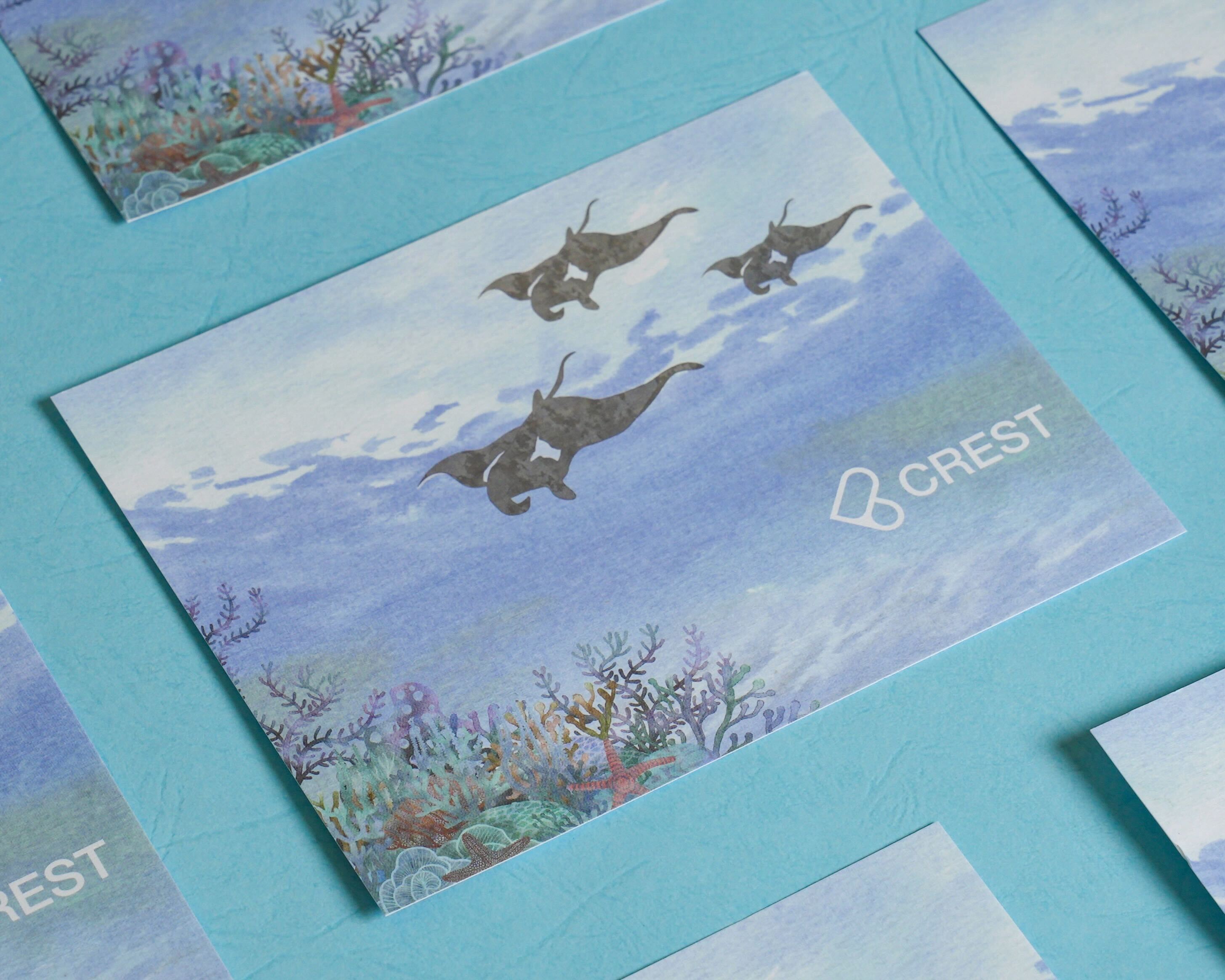 CREST Postcard: Watery Journal Series - Manta Ray