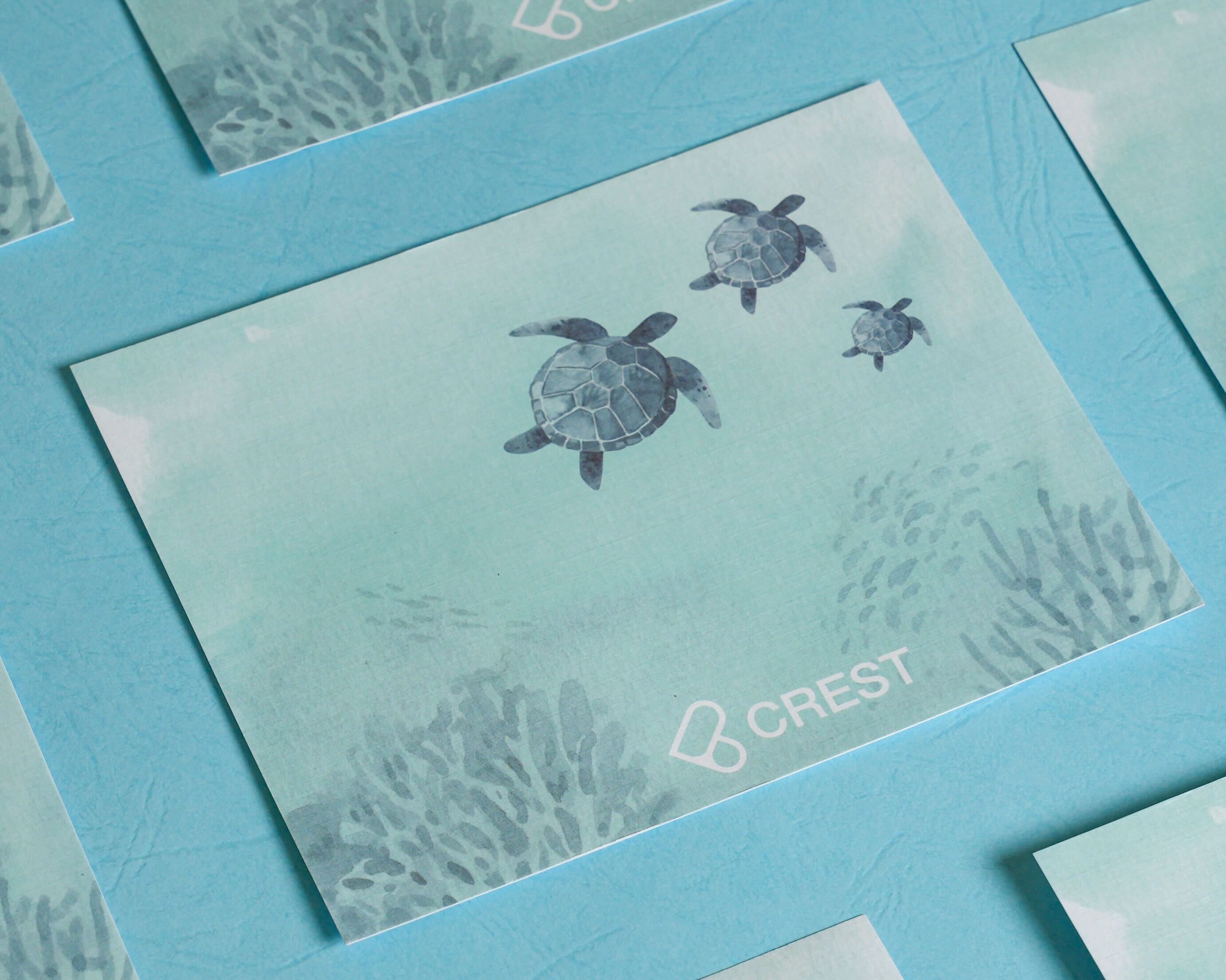 CREST 明信片 海洋日誌系列 海龜 Postcard: Watery Journal Series - Sea Turtle