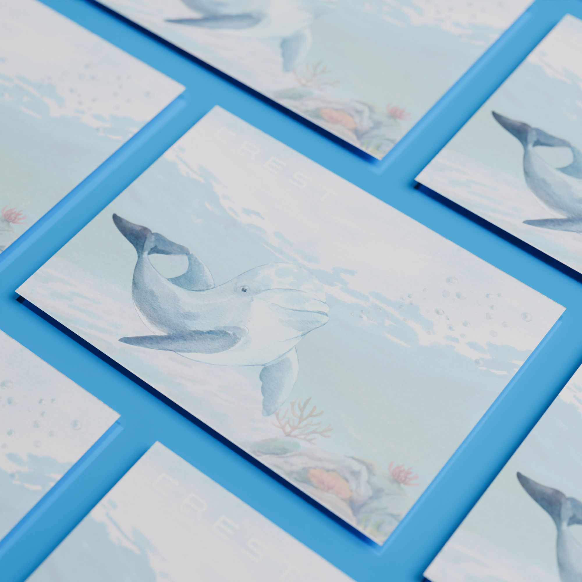 CREST Postcard｜Watery Journal Series - Dolphin